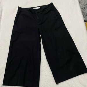 Everlane Cropped Flare Pant